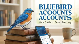 Buy Verified Bluebird Accounts